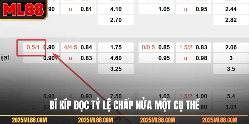 Bí kíp đọc tỷ lệ chấp nửa một cụ thể