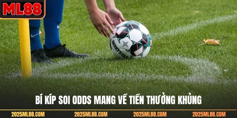 Bí kíp soi odds mang về tiền thưởng khủng