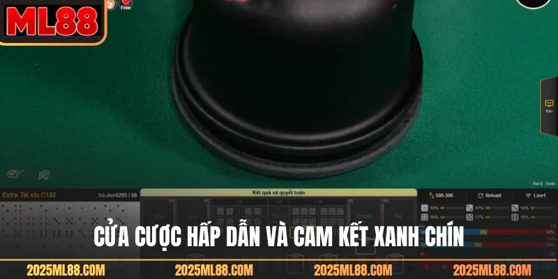 Cửa cược hấp dẫn và cam kết xanh chín