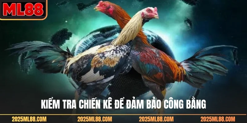 Kiểm tra chiến kê để đảm bảo công bằng