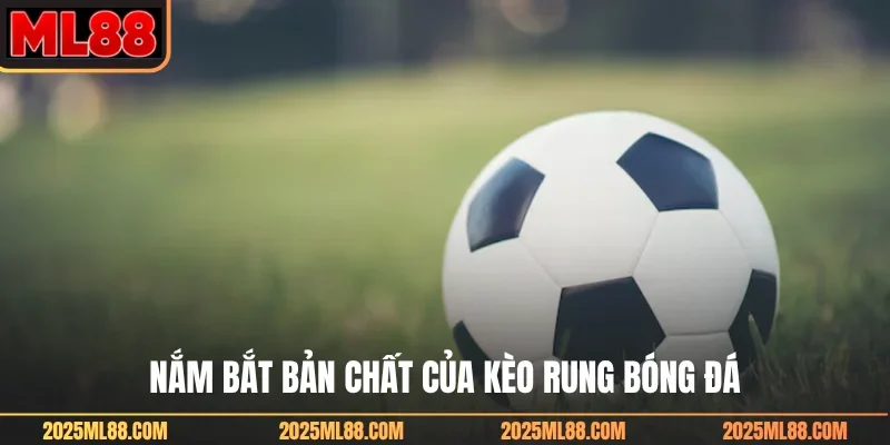 Nắm bắt bản chất của kèo rung bóng đá