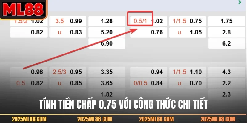 Tính tiền chấp 0.75 với công thức chi tiết