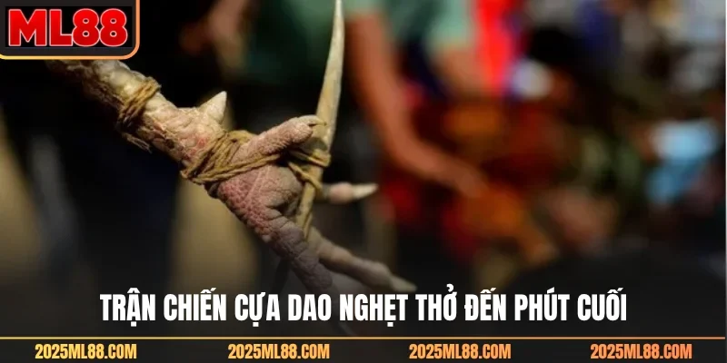 Trận chiến cựa dao nghẹt thở đến phút cuối