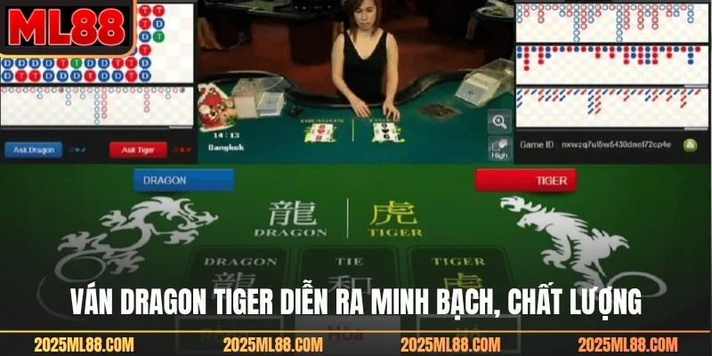 Ván dragon tiger diễn ra minh bạch, chất lượng